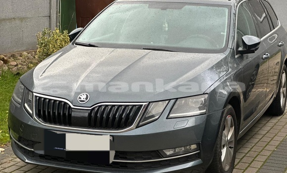 Buy Used Skoda Octavia Other Car in Tbilisi in Tbilisi