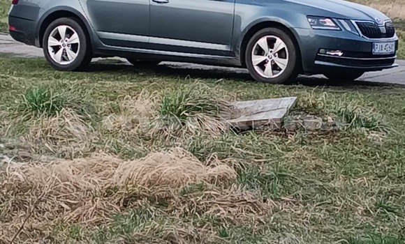Buy Used Skoda Octavia Other Car in Tbilisi in Tbilisi Buy Used Skoda Octavia Other Car in Tbilisi in Tbilisi