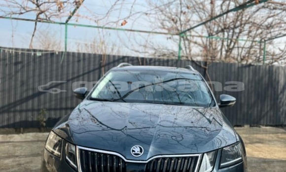Buy Used Skoda Octavia Other Car in Tbilisi in Tbilisi Buy Used Skoda Octavia Other Car in Tbilisi in Tbilisi