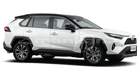 Buy New Toyota RAV4 White Car in Import - Dubai in Abhasia Buy New Toyota RAV4 White Car in Import - Dubai in Abhasia