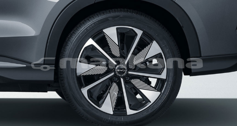 Big with watermark byd s6 kaheti gurdzhaani 7797