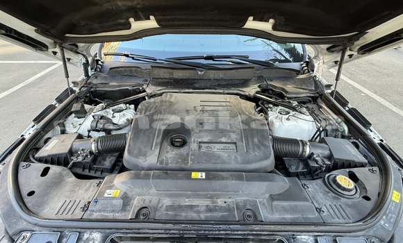 Buy Import Land Rover Range Rover Sport White Car in Tbilisi in Tbilisi Buy Import Land Rover Range Rover Sport White Car in Tbilisi in Tbilisi