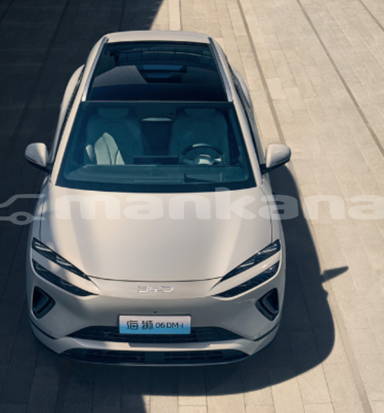 Big with watermark byd s6 samche zhavaheti ninocminda 7805