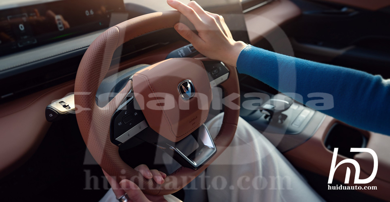 Big with watermark changan eado ajaria batumi 7825