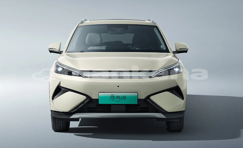 Big with watermark byd e6 kaheti sagaredzho 7832