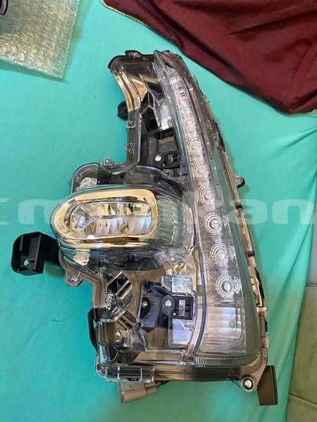 Big with watermark 603891308 4310469415895604 4699639154010285867 n