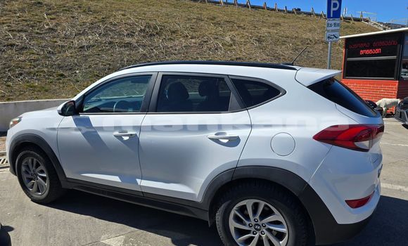 Buy Used Hyundai Tucson White Car in Tbilisi in Tbilisi