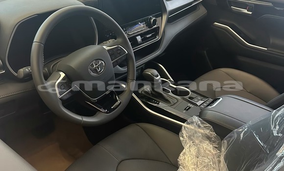 Buy New Toyota Highlander White Car in Tbilisi in Tbilisi Buy New Toyota Highlander White Car in Tbilisi in Tbilisi