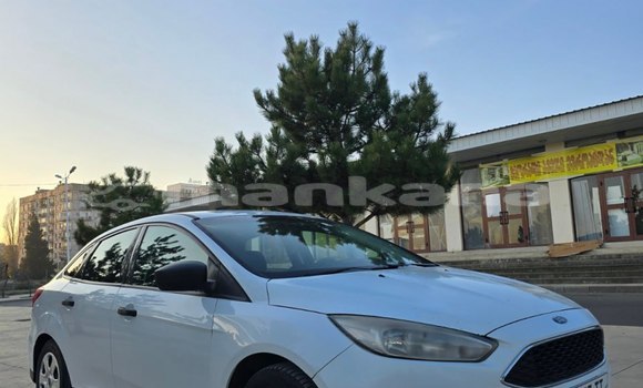 Buy Used Ford Focus White Car in Tbilisi in Tbilisi Buy Used Ford Focus White Car in Tbilisi in Tbilisi