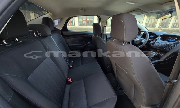 Buy Used Ford Focus White Car in Tbilisi in Tbilisi Buy Used Ford Focus White Car in Tbilisi in Tbilisi