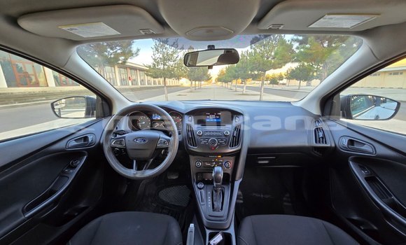 Buy Used Ford Focus White Car in Tbilisi in Tbilisi Buy Used Ford Focus White Car in Tbilisi in Tbilisi