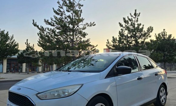 Buy Used Ford Focus White Car in Tbilisi in Tbilisi Buy Used Ford Focus White Car in Tbilisi in Tbilisi