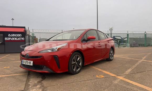 Buy Used Toyota Prius Red Car in Tbilisi in Tbilisi Buy Used Toyota Prius Red Car in Tbilisi in Tbilisi