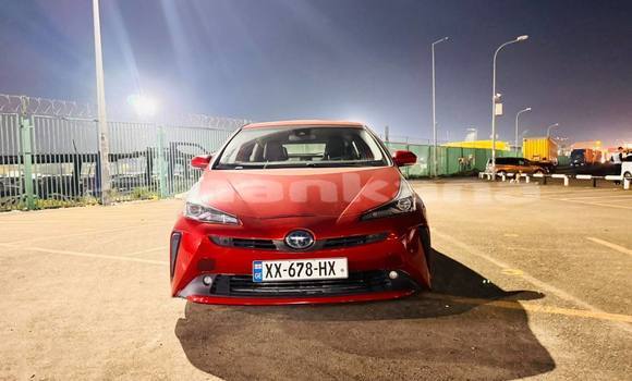 Buy Used Toyota Prius Red Car in Tbilisi in Tbilisi Buy Used Toyota Prius Red Car in Tbilisi in Tbilisi