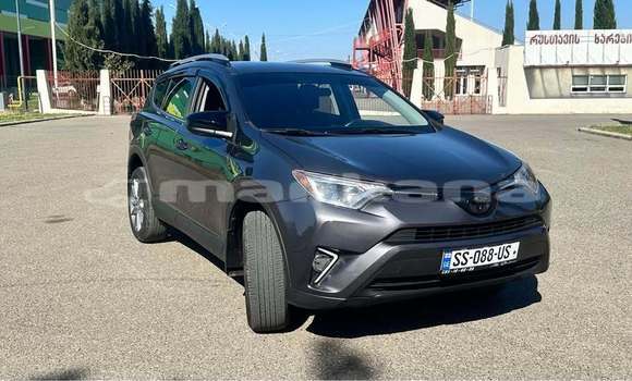 Buy Used Toyota RAV4 Other Car in Tbilisi in Tbilisi