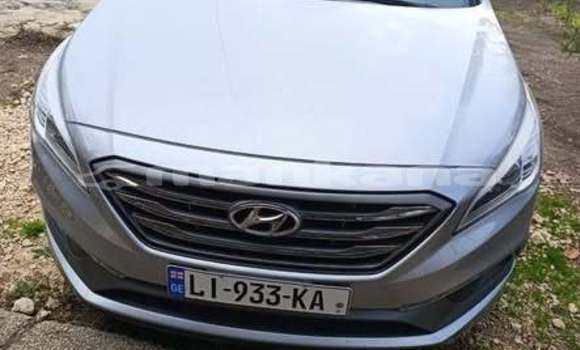 Buy Used Hyundai Sonata Other Car in Tbilisi in Tbilisi