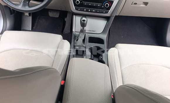 Buy Used Hyundai Sonata Other Car in Tbilisi in Tbilisi Buy Used Hyundai Sonata Other Car in Tbilisi in Tbilisi