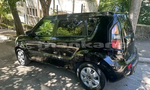Buy Used Kia Soul Black Car in Bagdadi in Imereti