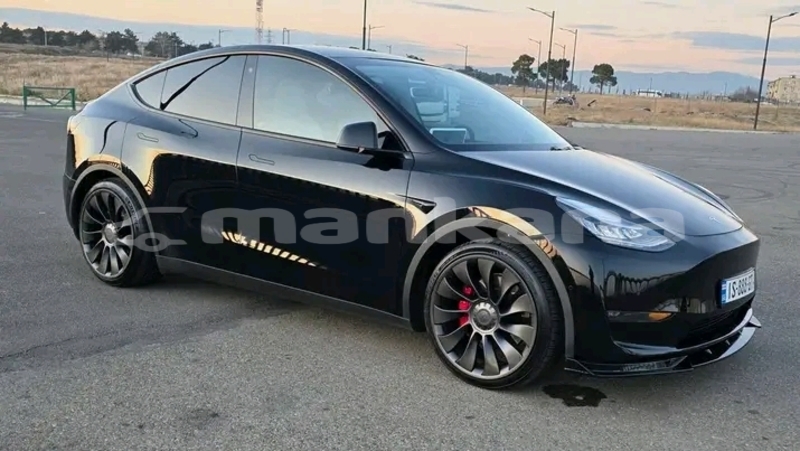 Big with watermark tesla model x ajaria batumi 7892