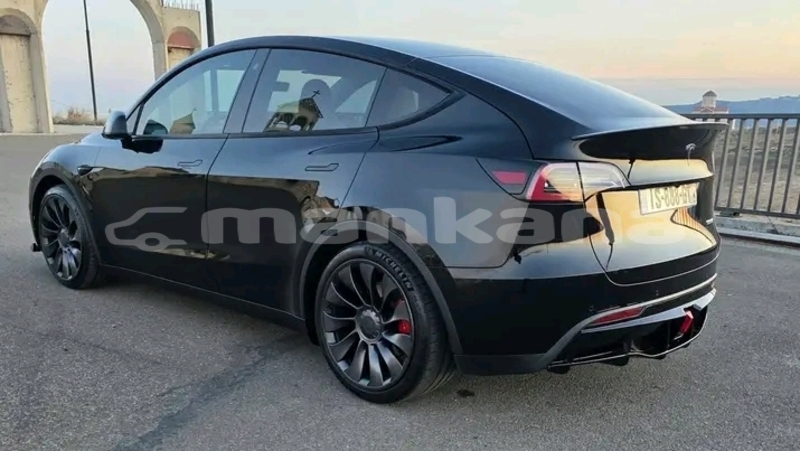 Big with watermark tesla model x ajaria batumi 7892