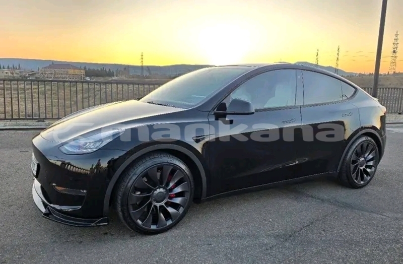 Big with watermark tesla model x ajaria batumi 7892