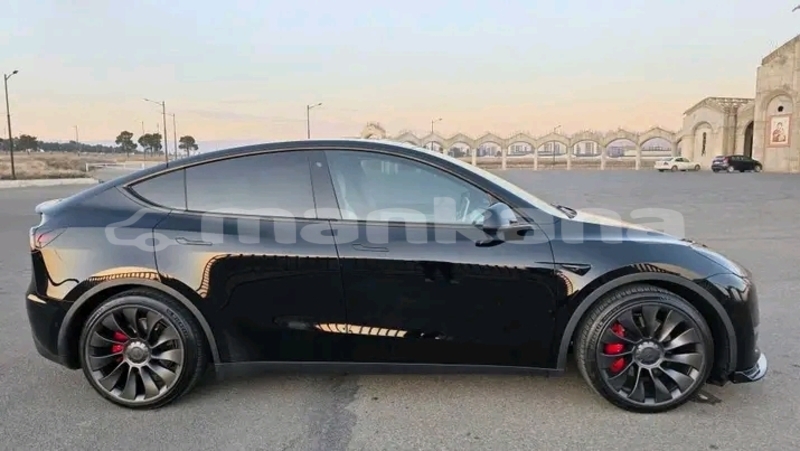 Big with watermark tesla model x ajaria batumi 7892