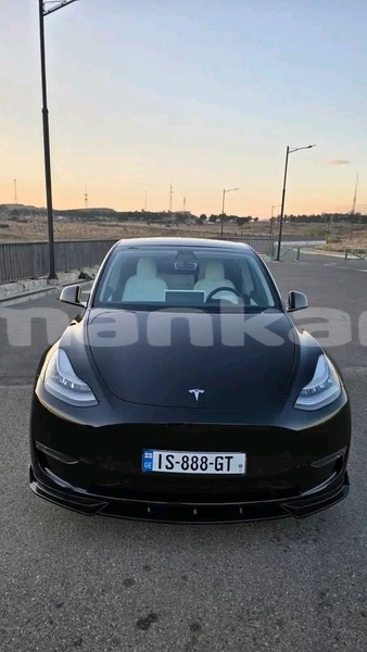 Big with watermark tesla model x ajaria batumi 7892