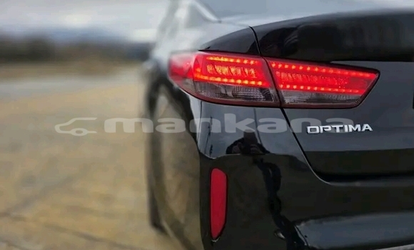 Buy Used Kia Optima Black Car in Batumi in Ajaria