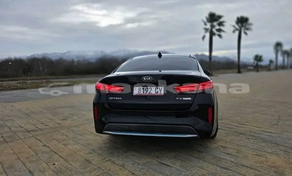 Buy Used Kia Optima Black Car in Batumi in Ajaria Buy Used Kia Optima Black Car in Batumi in Ajaria