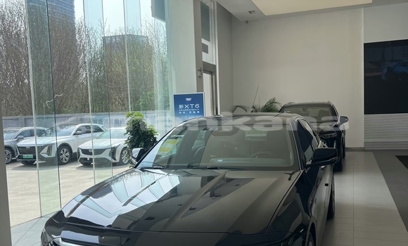 Buy New Cadillac CT6 Black Car in Tbilisi in Tbilisi Buy New Cadillac CT6 Black Car in Tbilisi in Tbilisi