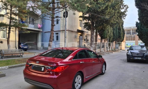 Buy Used Hyundai Sonata Red Car in Batumi in Ajaria Buy Used Hyundai Sonata Red Car in Batumi in Ajaria
