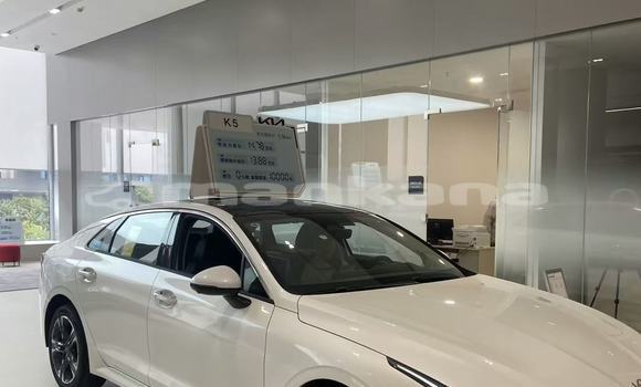 Buy New Kia K5 White Car in Tbilisi in Tbilisi Buy New Kia K5 White Car in Tbilisi in Tbilisi