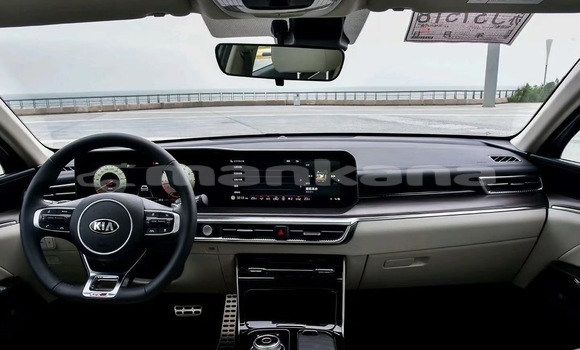 Buy New Kia K5 White Car in Tbilisi in Tbilisi Buy New Kia K5 White Car in Tbilisi in Tbilisi