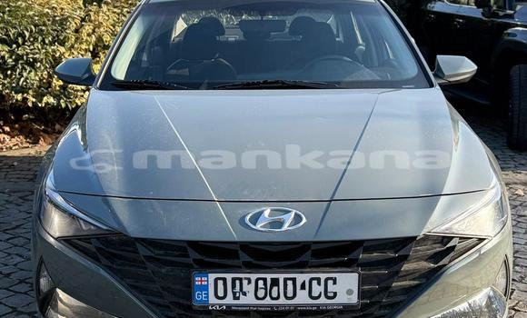Buy Used Hyundai Elantra Other Car in Tbilisi in Tbilisi