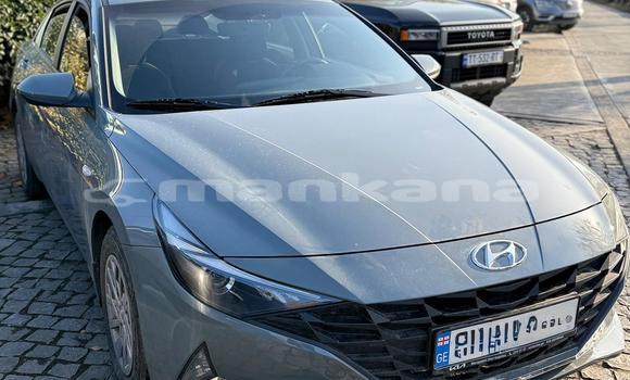 Buy Used Hyundai Elantra Other Car in Tbilisi in Tbilisi Buy Used Hyundai Elantra Other Car in Tbilisi in Tbilisi