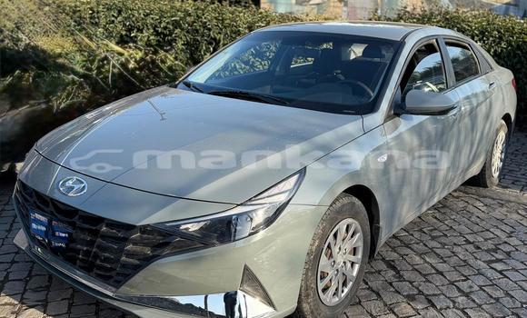 Buy Used Hyundai Elantra Other Car in Tbilisi in Tbilisi Buy Used Hyundai Elantra Other Car in Tbilisi in Tbilisi