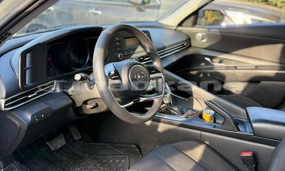 Buy Used Hyundai Elantra Other Car in Tbilisi in Tbilisi Buy Used Hyundai Elantra Other Car in Tbilisi in Tbilisi