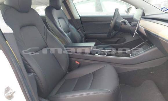 Buy Used Tesla Model 3 White Car in Tbilisi in Tbilisi Buy Used Tesla Model 3 White Car in Tbilisi in Tbilisi