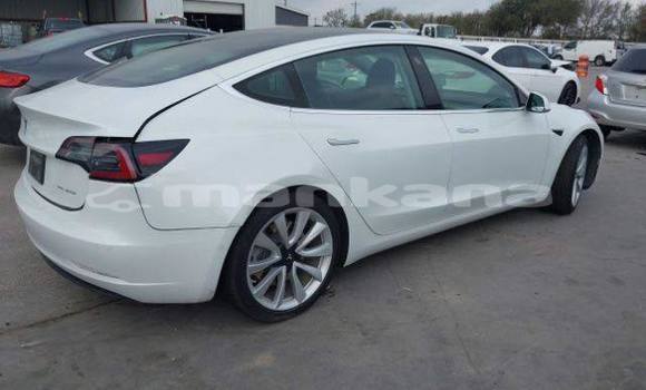Buy Used Tesla Model 3 White Car in Tbilisi in Tbilisi Buy Used Tesla Model 3 White Car in Tbilisi in Tbilisi