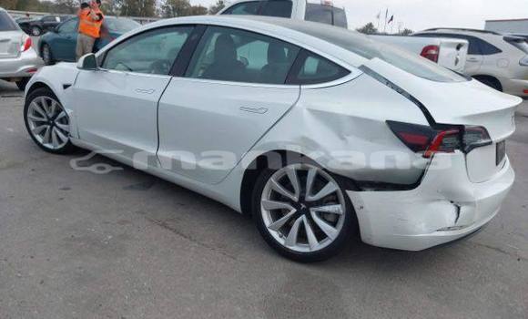 Buy Used Tesla Model 3 White Car in Tbilisi in Tbilisi Buy Used Tesla Model 3 White Car in Tbilisi in Tbilisi