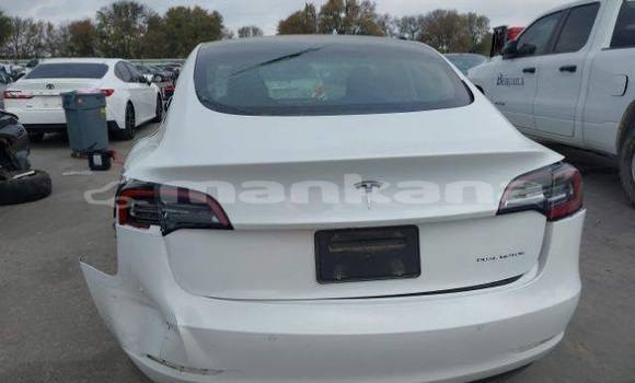 Buy Used Tesla Model 3 White Car in Tbilisi in Tbilisi Buy Used Tesla Model 3 White Car in Tbilisi in Tbilisi