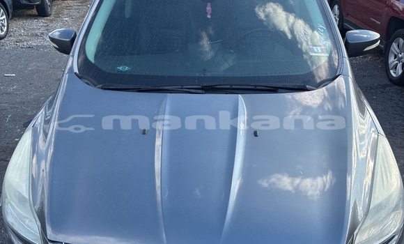 Buy Used Ford Escape Other Car in Tbilisi in Tbilisi