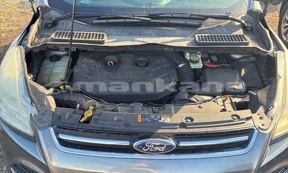 Buy Used Ford Escape Other Car in Tbilisi in Tbilisi Buy Used Ford Escape Other Car in Tbilisi in Tbilisi