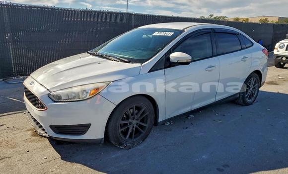 Buy Used Ford Focus White Car in Tbilisi in Tbilisi