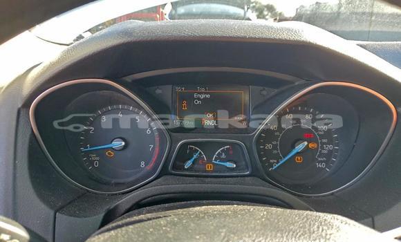 Buy Used Ford Focus White Car in Tbilisi in Tbilisi Buy Used Ford Focus White Car in Tbilisi in Tbilisi