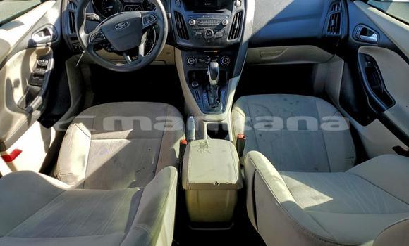 Buy Used Ford Focus White Car in Tbilisi in Tbilisi Buy Used Ford Focus White Car in Tbilisi in Tbilisi