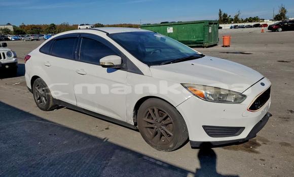 Buy Used Ford Focus White Car in Tbilisi in Tbilisi Buy Used Ford Focus White Car in Tbilisi in Tbilisi
