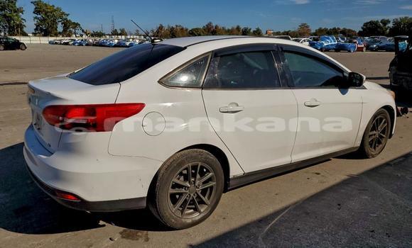 Buy Used Ford Focus White Car in Tbilisi in Tbilisi Buy Used Ford Focus White Car in Tbilisi in Tbilisi