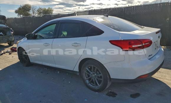 Buy Used Ford Focus White Car in Tbilisi in Tbilisi Buy Used Ford Focus White Car in Tbilisi in Tbilisi
