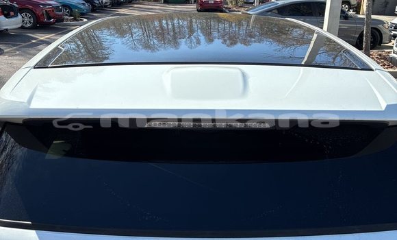 Buy Used Range Rover Evoque White Car in Tbilisi in Tbilisi Buy Used Range Rover Evoque White Car in Tbilisi in Tbilisi